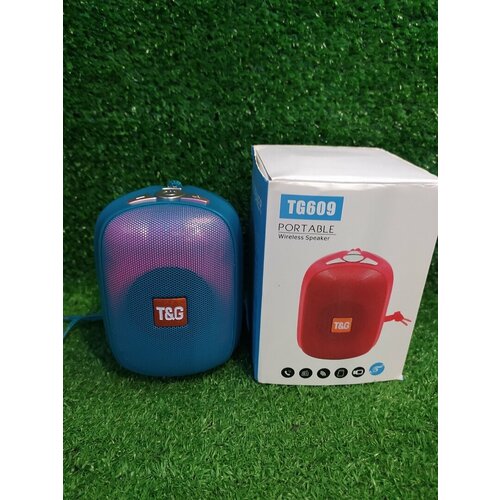 Беспроводная портативная колонка TGTG-609 82400₽