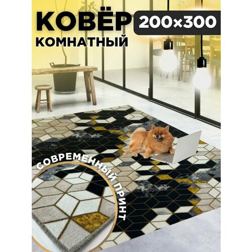 Ковер комнатный 200х300