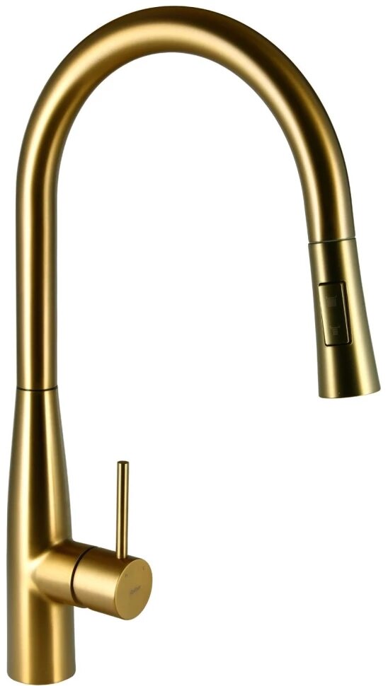 Смеситель для кухни Raiber Graceful RP-011 - фото №1