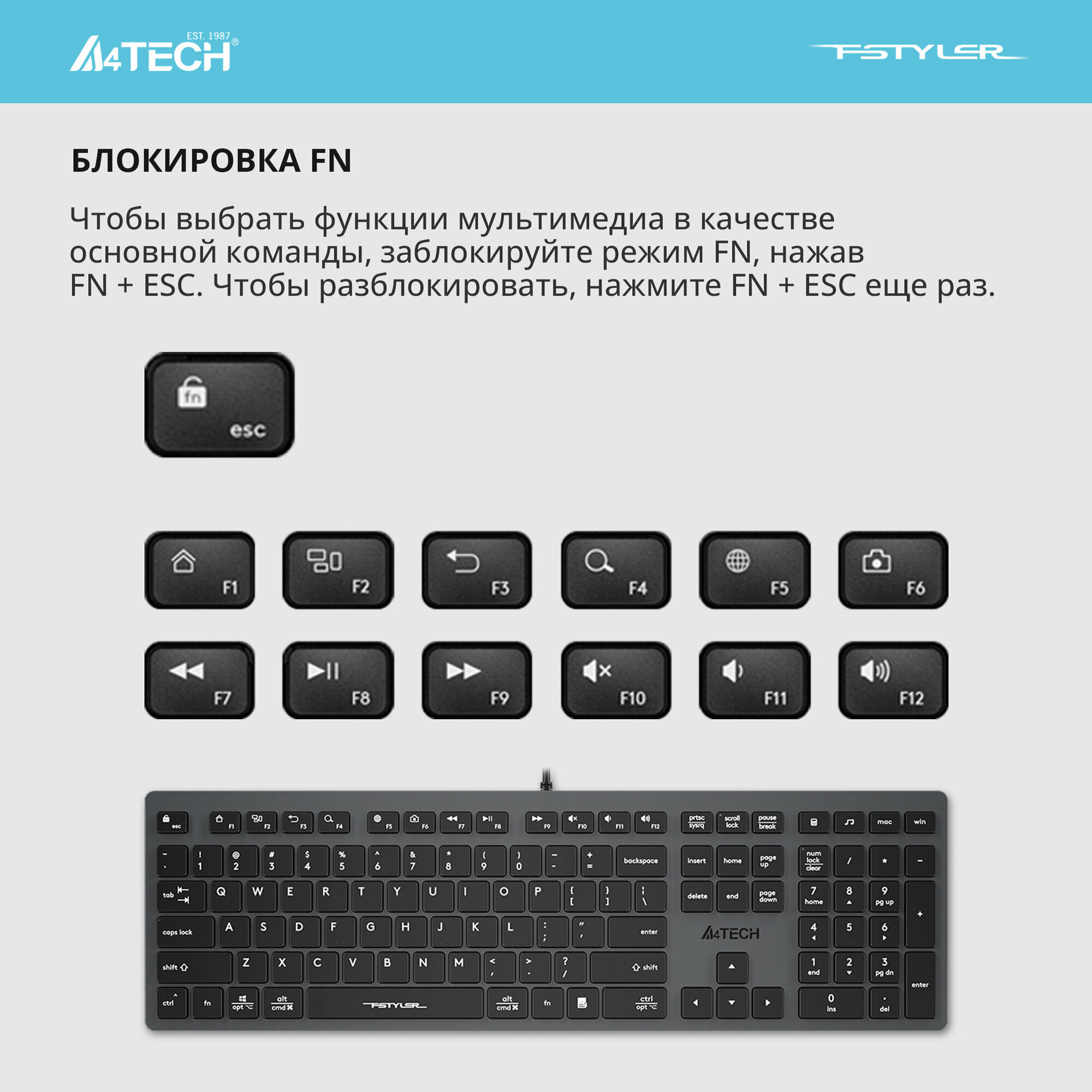 Клавиатура A4Tech Fstyler FX50 серый USB slim Multimedia