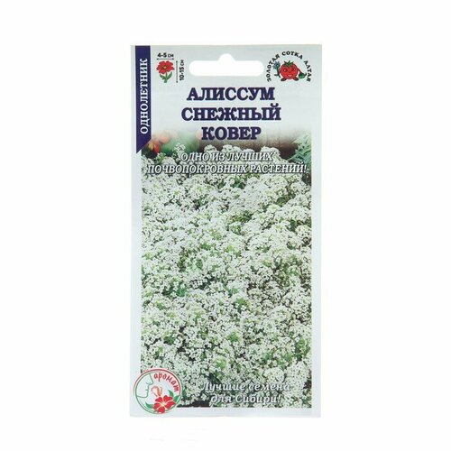 семена цветов алиссум ковер медонос 0 1 г 18 упаковок Семена цветов Алиссум Снежный ковер, 0,1 г