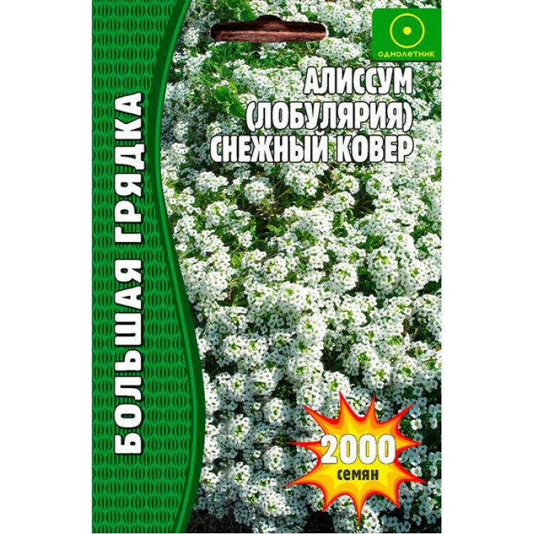 Алиссум Лобулярия Снежный Ковер 1000 шт редкие семена (2шт в заказе)