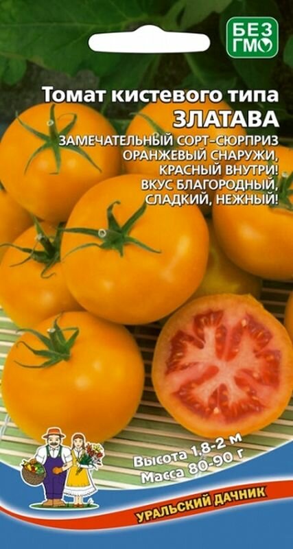 Томат кистевой отзывы фото