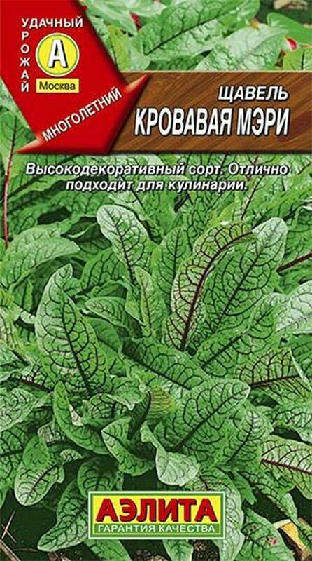 Семена Щавель Кровавая Мэри декоративный (многолетние) (Аэлита) 0,03г