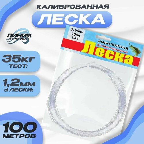 фото Леска монофильная для рыбалки 1.2 мм 100м тест 35кг state fishing