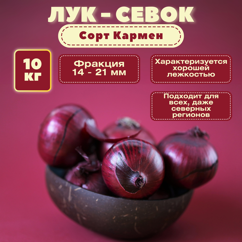 Лук севок Кармен, 10 кг, фракция 14-21 мм, Красный салатный сорт, обладает хорошим иммунитетом, устойчив к болезням и вредителям.