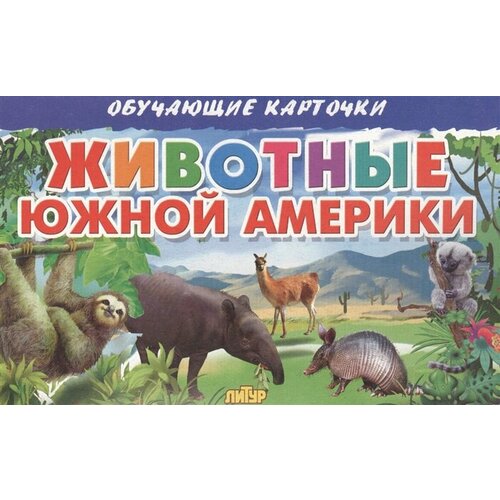 Обучающие карточки. Животные Южной Америки животные южной америки демонстрационный плакат 2882