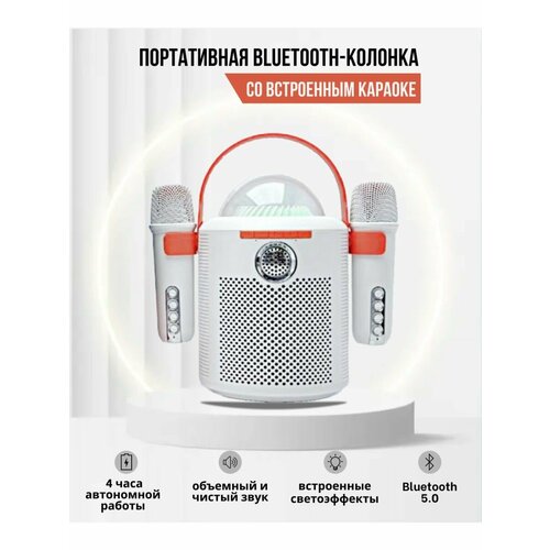 Современная Караоке система для семейных вечеров Серебро 489900₽
