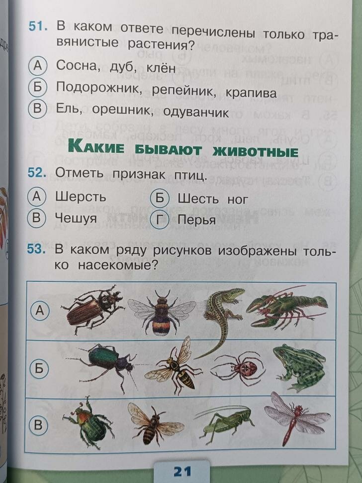 Плешаков. Окружающий мир 2 класс. Тесты. Новый ФП (Просвещение) — фото 1
