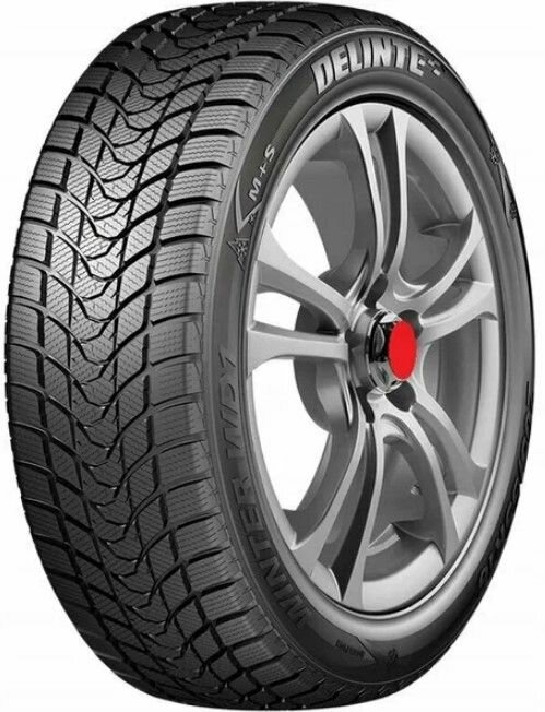 Delinte 195/55 R15 Winter WD1 85H