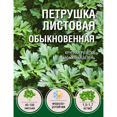 Петрушка Листовая Обыкновенная (1 пакет по 2гр) петрушка листовая обыкновенная 10 пакетов по 2гр