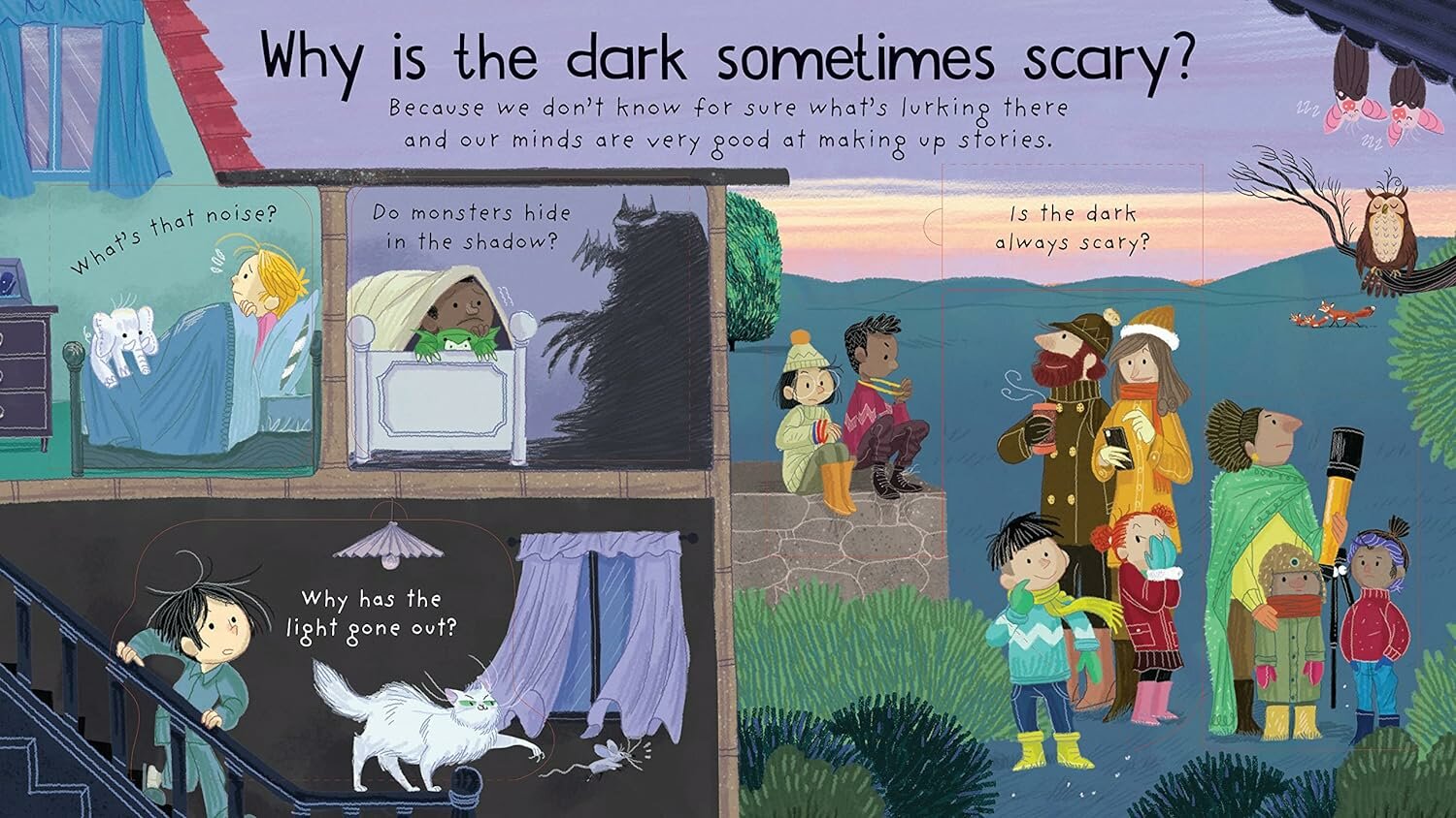 Книга First Questions & Answers: Why Is It Dark at Night? (board book) - фото №3