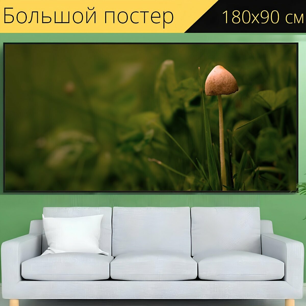 Большой постер "Гриб, маленький гриб, экран грибок" 180 x 90 см. для интерьера