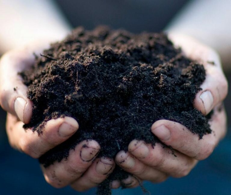 фото Почвогрунт 25кг дачные земли