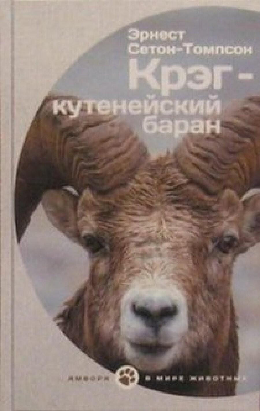 Крэг - кутенейский баран