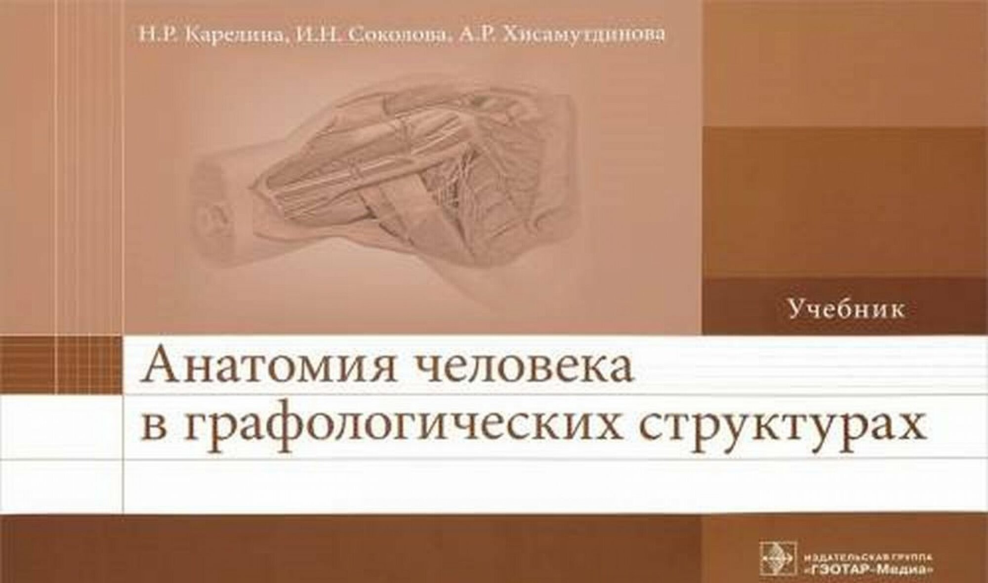 Анатомия человека в графологических структурах - фото №5