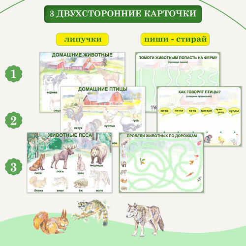 Развивающие пособия «Домашние животные», «Животные леса», «Домашние птицы», цветные тени. 3 двухсторонние карточки.