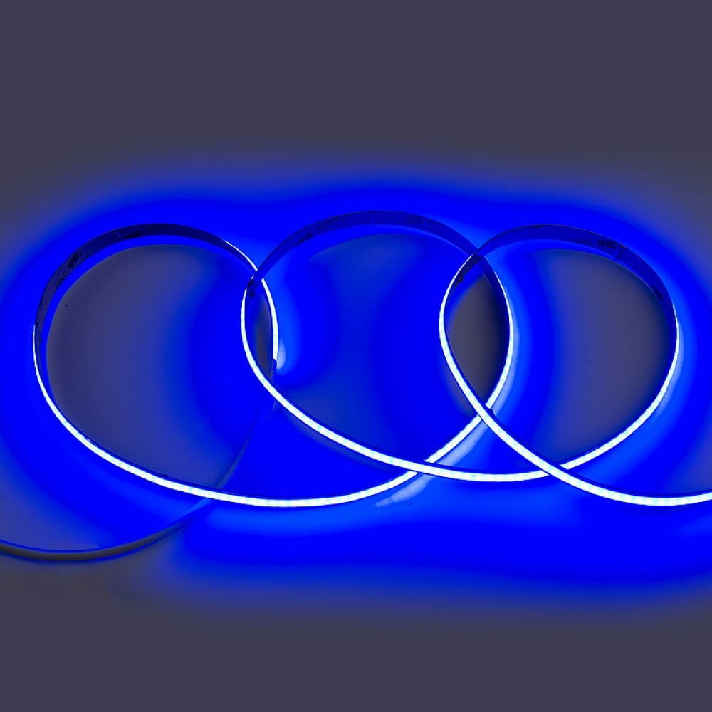 5м. Светодиодная лента синего цвета 8W, 24V, 320LED/m, IP20 General GLS-COB-320-8-24-IP20-B (502611) - фото №2