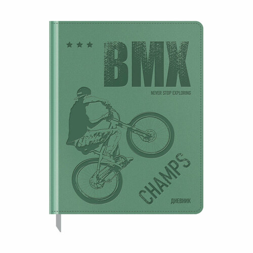 Дневник 1-11 кл. 48л. (твердый) BG 