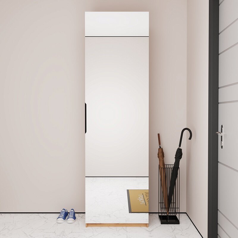 Пенал Астрис-2 с зеркалом Графит 60x38x205 серый однодверный для одежды