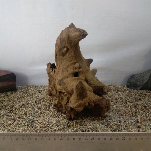 Коряга натуральная коряга натуральная сакура desert driftwood xxl