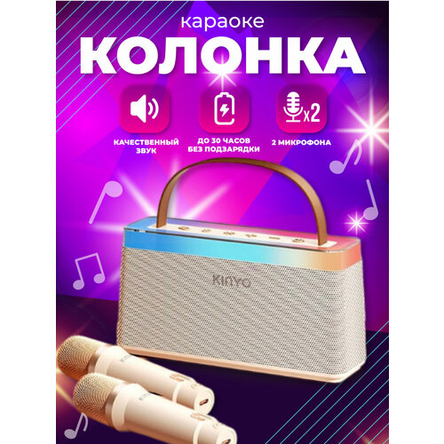 Колонка, караоке система для дома, 2 микрофона, Bluetooth, Type C, AUX, 3600 mah, RGB-подсветка