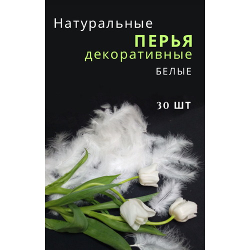 Перья натуральные. Для рукоделия, творчества и декора. Белые. 30шт перья цесарки коричневые 5 10см набор 10шт перо натуральное декоративное для творчества и рукоделия