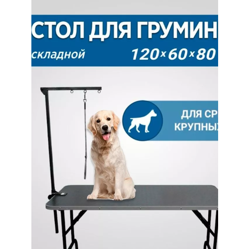 Стол для груминга wikiGROOM S1 120 x 60 см Серый