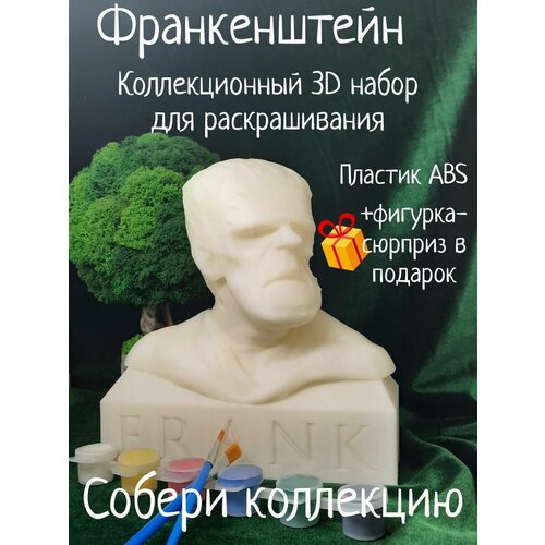 Франкенштейн Коллекционный 3D набор для раскрашивания