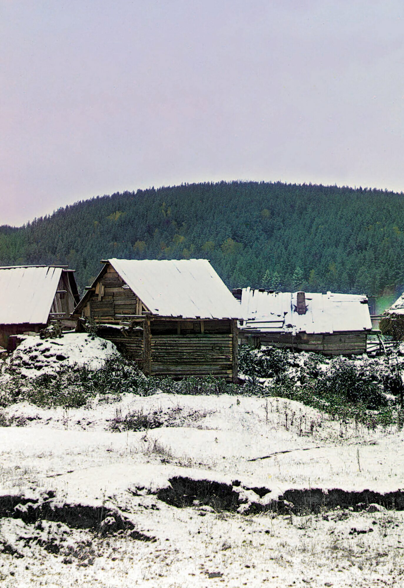 Лица Империи (Прокудин-Горский Сергей Михайлович; Галаганова Людмила) - фото №13