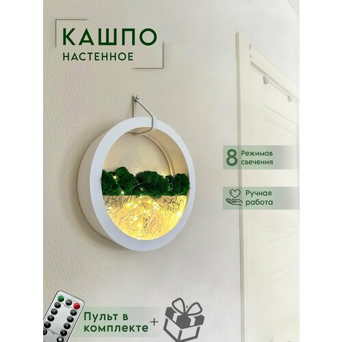 Кашпо - ночник со мхом 3536₽