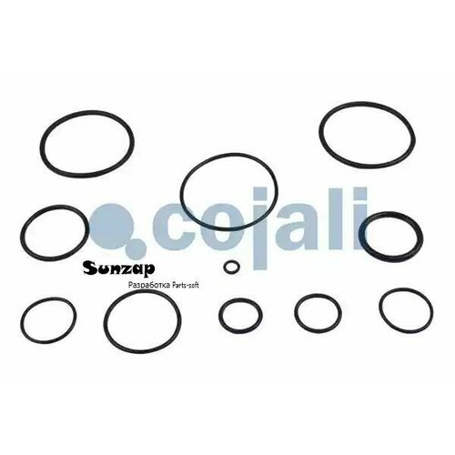 COJALI 6012173 6012173_рк ускорительного клапана 4802020040 кольца упл резина манжета резина MB Actros 2260₽