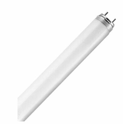 Лампа люминесцентная Ledvance-osram OSRAM-СМ new L36W/ 840 LUMILUX G13 d26x1200mm 3350lm 4000K - лампа