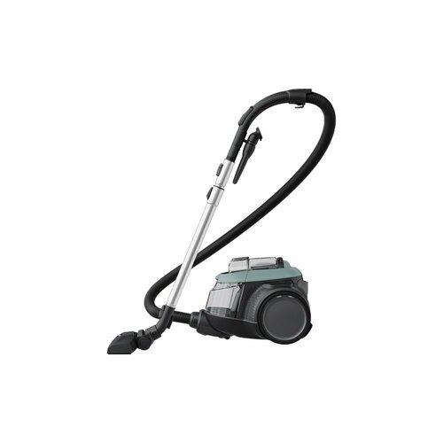 Пылесос Electrolux EL61C2OG 2389000₽