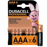 Батарейка DURACELL Professional ААA/LR03 бл/6шт