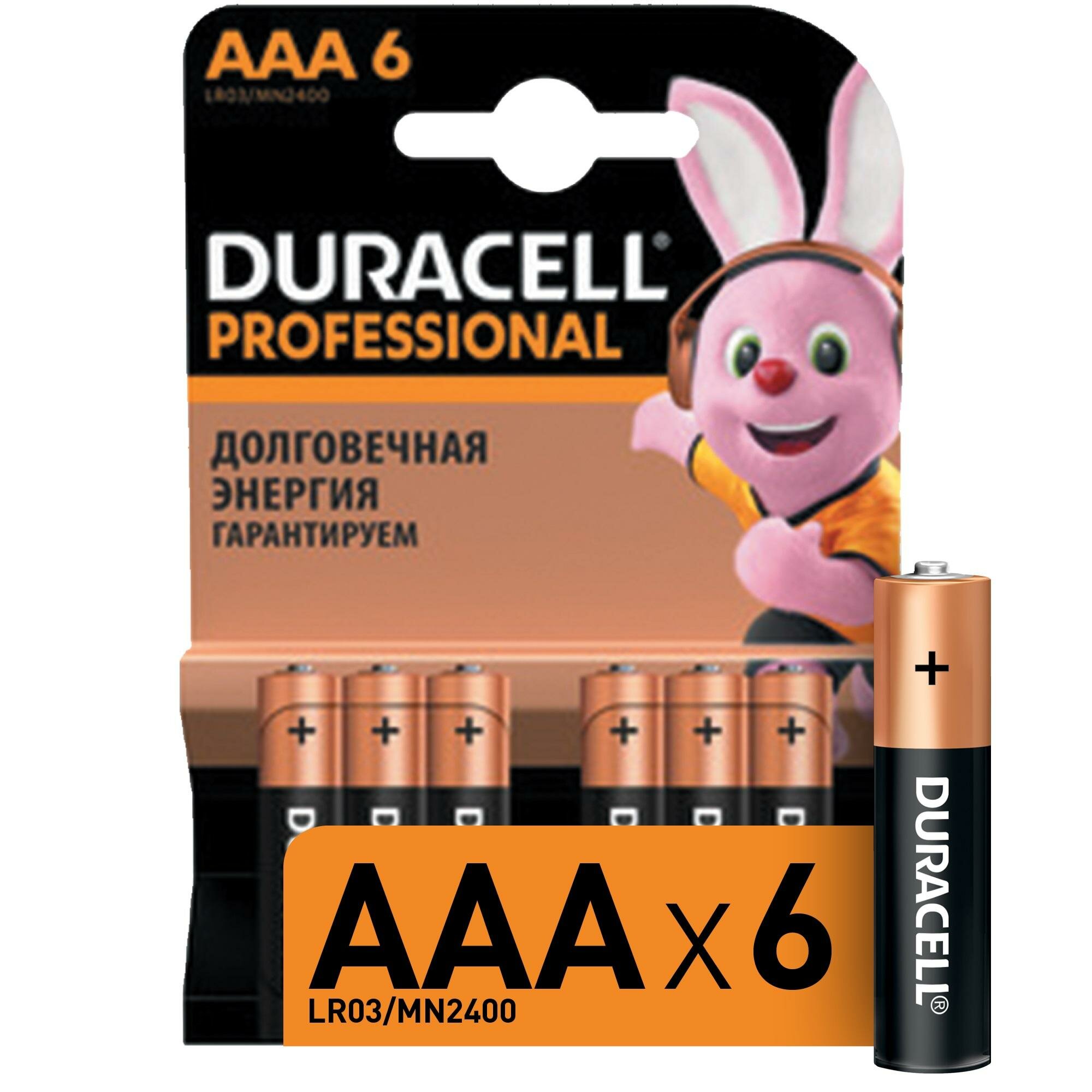 Батарейка DURACELL Professional ААA/LR03 бл/6шт