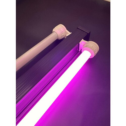 Лампа Т8 15W (435 мм) BIO LUX розовая / фито лампа для живых растений, яркости аквариума, люминесцентная