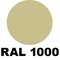 RAL 1000