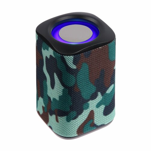 Портативная колонка LM-883 5 Вт 500 мАч подсветка micro SD хаки 110700₽