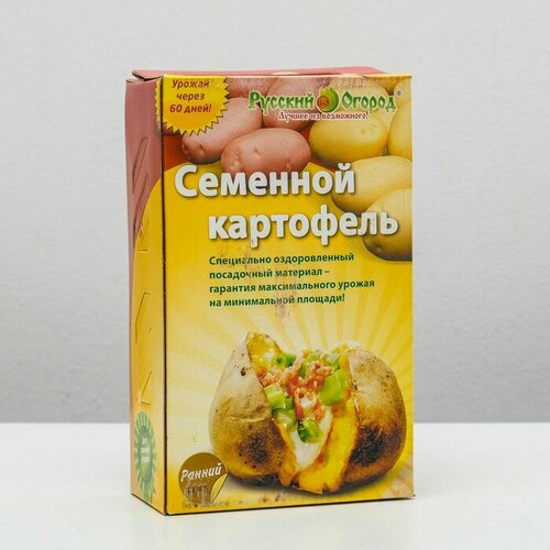 Семенной Картофель ранний красный и белый клубень 12 шт, элита