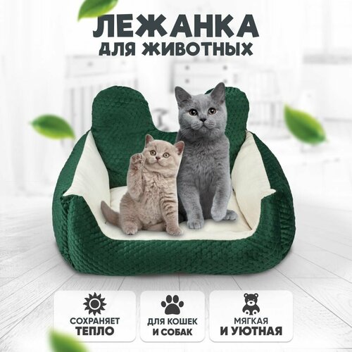 Лежанка квадратная, мягкая Solmax&Zoo для домашних животных, с подставкой для головы, бортиками, подушка для питомцев, 50х46х25, серая