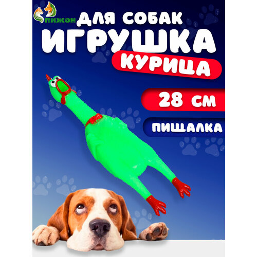 Игрушка пищащая Удивленная курица для собак, 28 см, ярко-зелёная