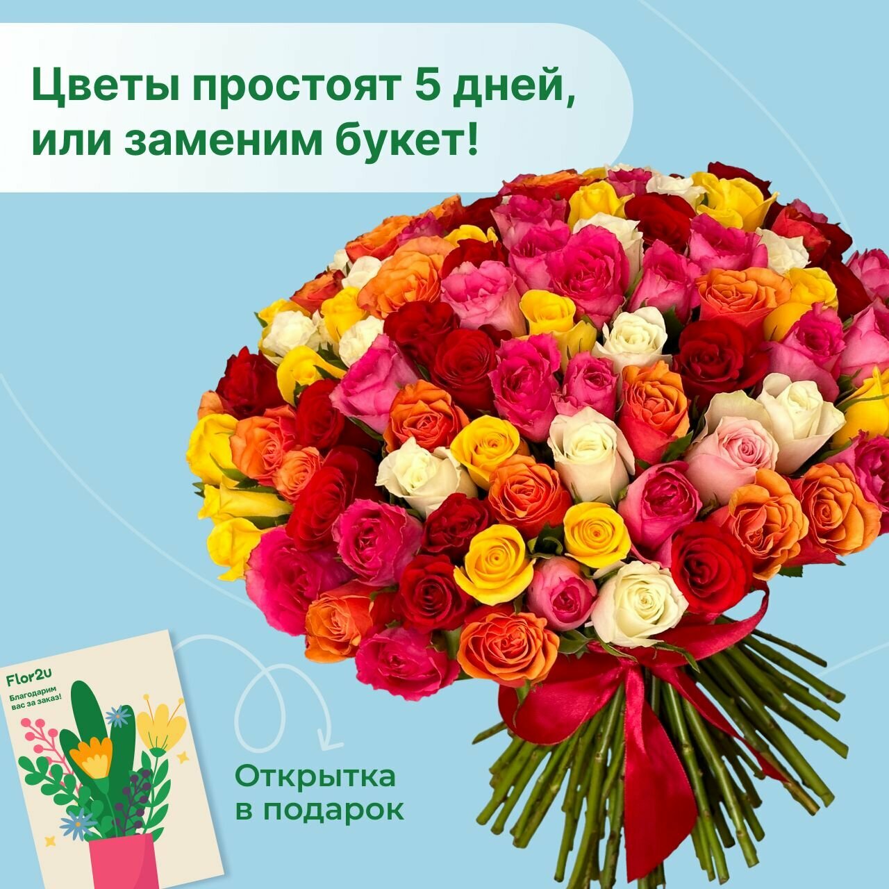 Цветы живые букет из 101 розы микс 35 см с атласной лентой Flor2u