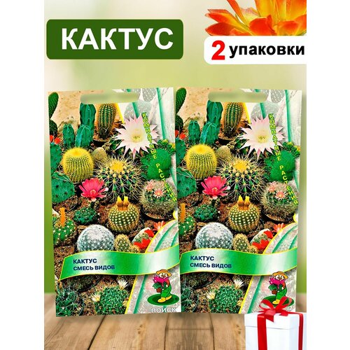 Семена кактуса смесь сортов 2шт