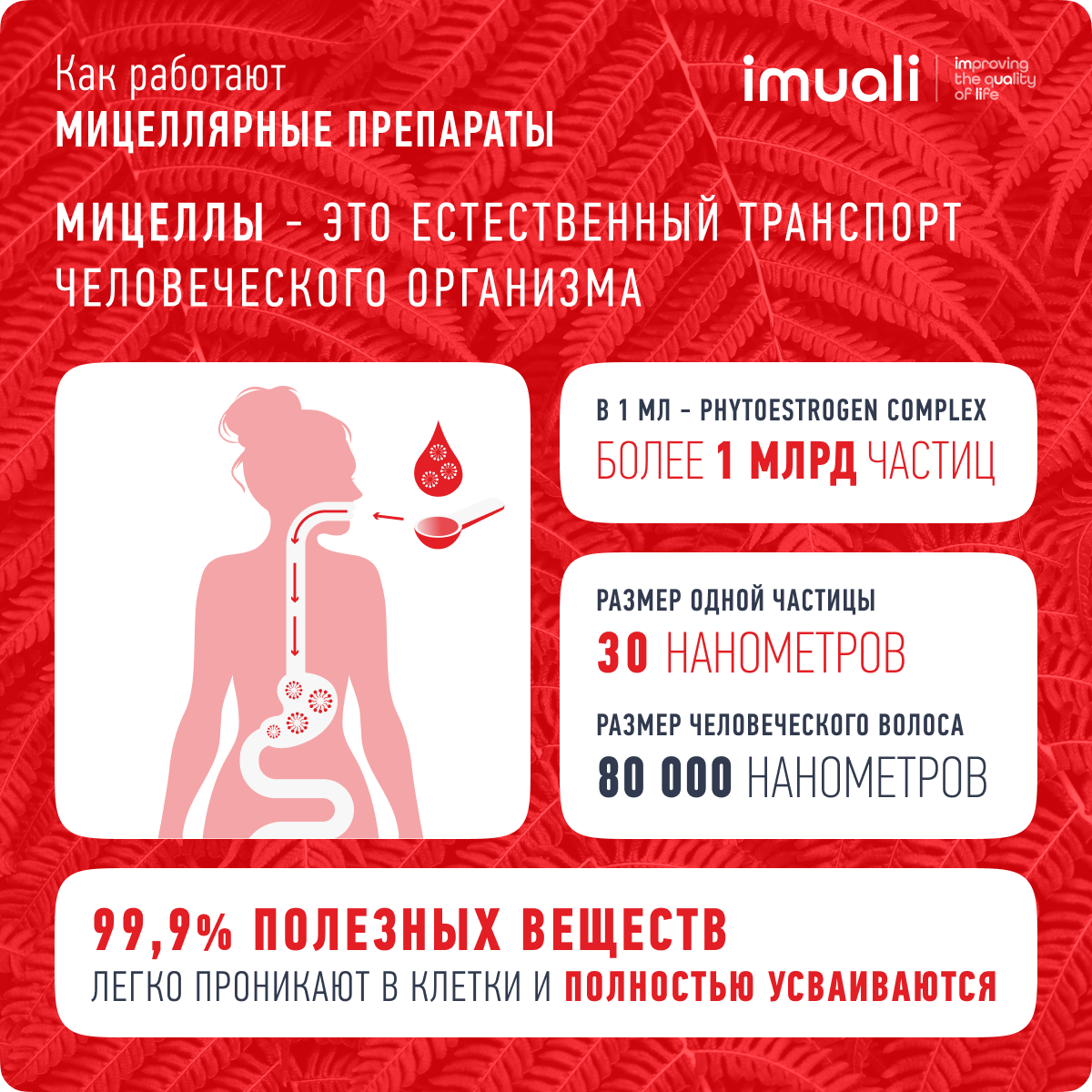 Гомеопатические Препараты Для Женского Здоровья Красная щетка в мицеллярной форме, фитоэстрогены для женского здоровья