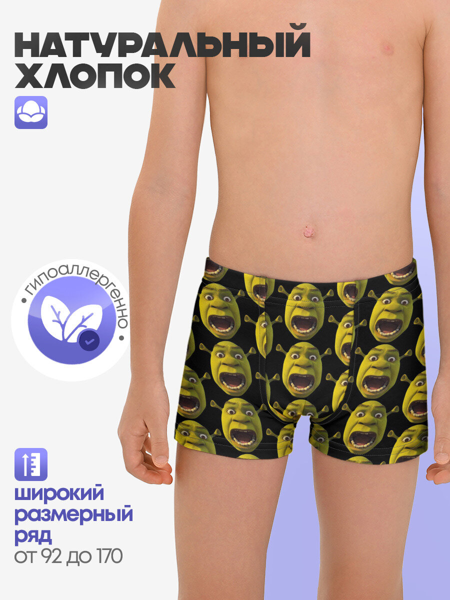 Трусы Lacotton.ru Шрек, размер 170, мультиколор
