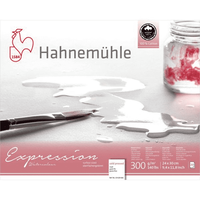 Hahnemuhle Альбом-склейка для акварели "Expression", 300 г / м2, 24х30 см, 100% хлопок, 20 л, среднее зерно