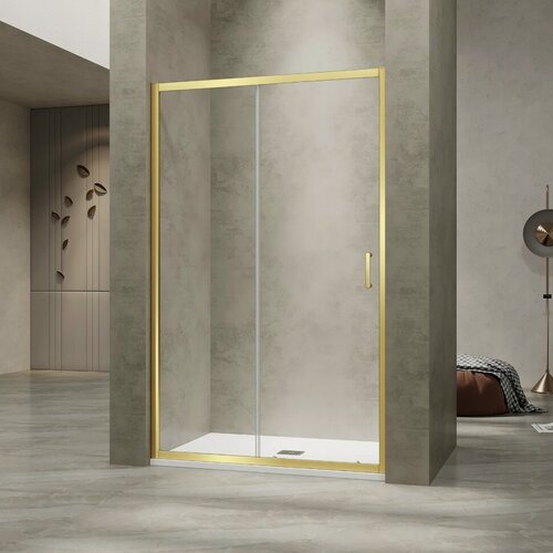 Изображение товара Душевая дверь RGW PA-114-Gb (Прозрачное, 1700, 4657832444678)