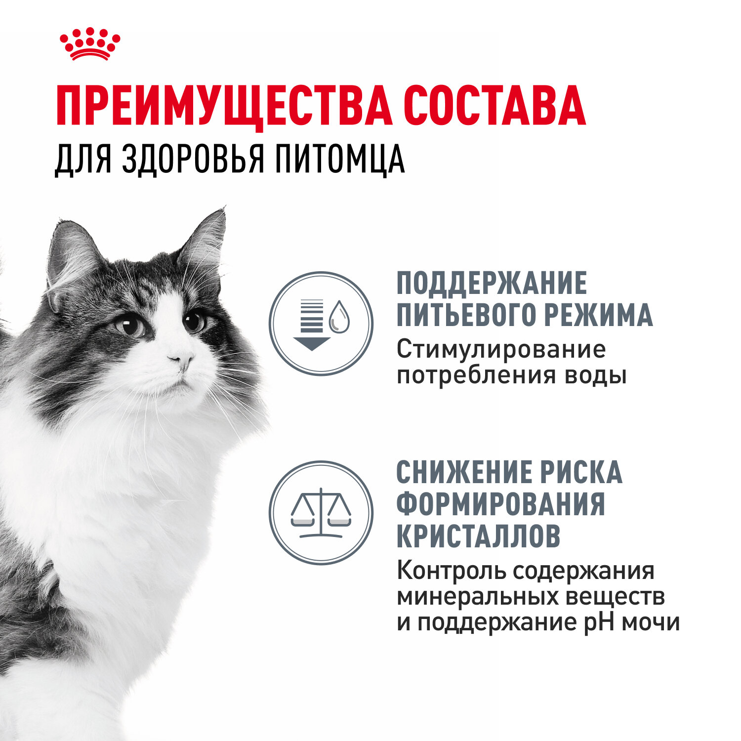 Влажный корм Royal Canin Urinary Care пауч для профилактики МКБ у кошек (кусочки в соусе) Птица, 85 г х 28 шт. — фото 1