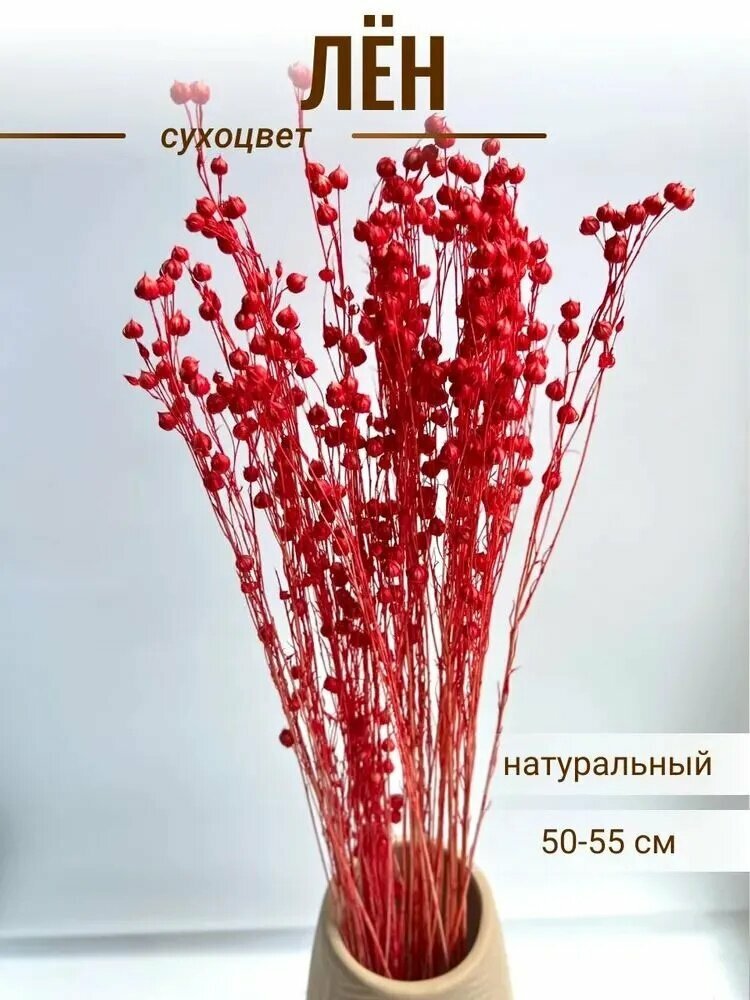 Сухоцветы Лен 55 см 50 гр